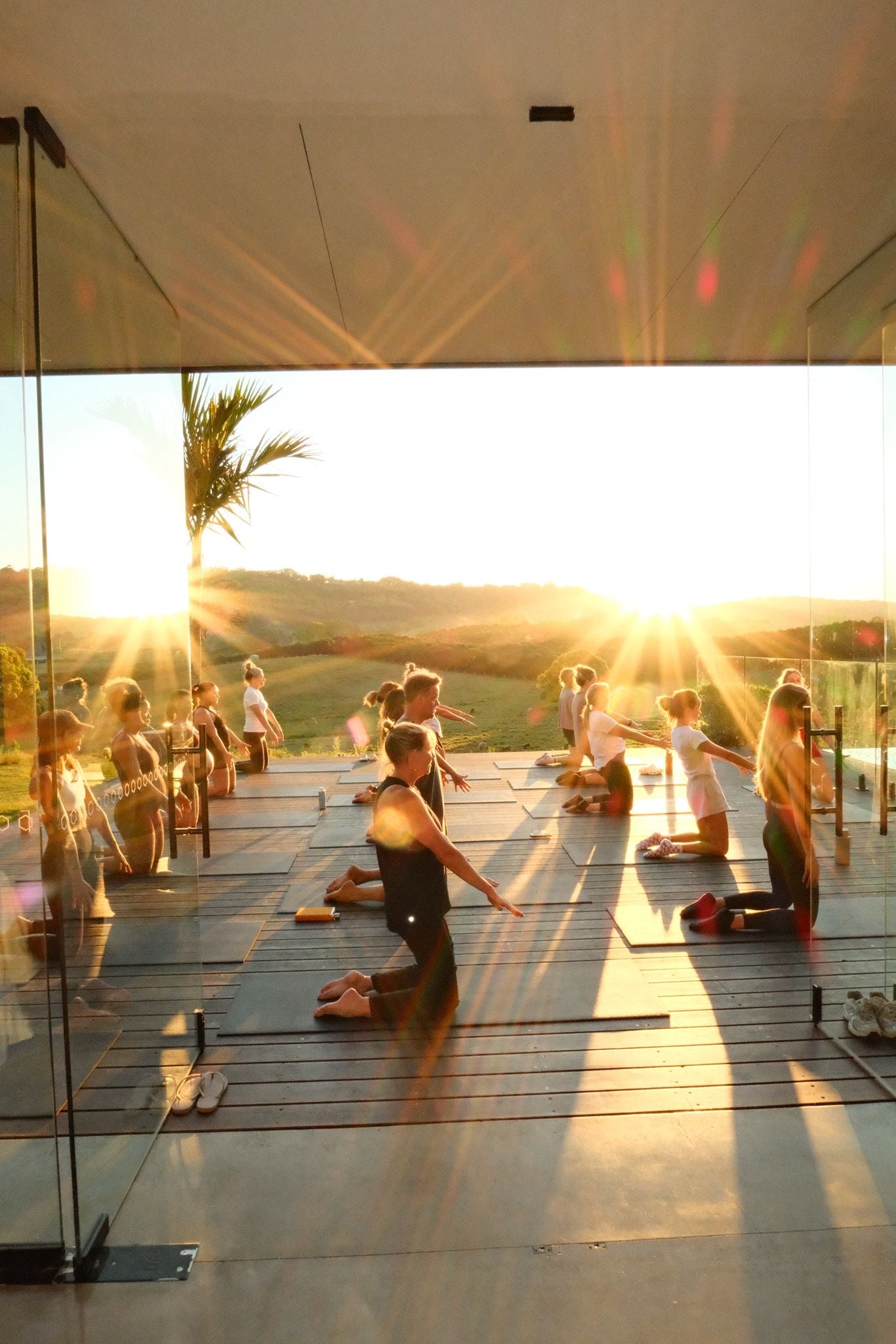 Group of people practicing yoga on a rooftop at sunset.